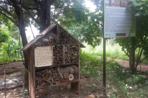 Visit to Asola Bhatti Wildlife Sanctuary of BSc students, MRU