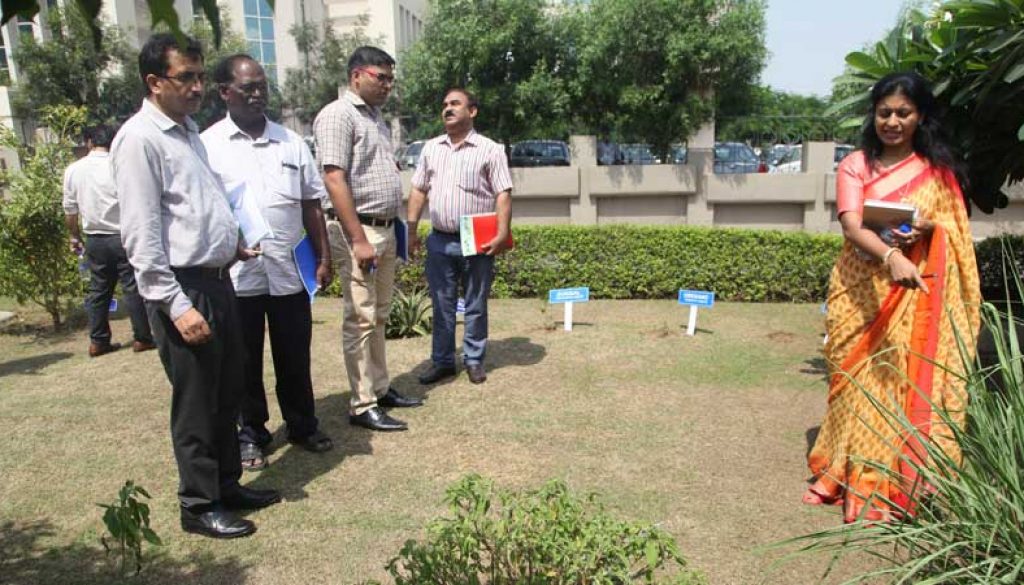 Medicinal-Garden-for-environment