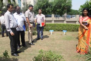 Medicinal Garden for Environment