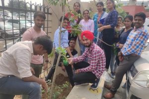 Workshop about Green Organic Farming