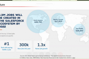 Webinar on “Career guidance for students who plan to make their career in Salesforce”