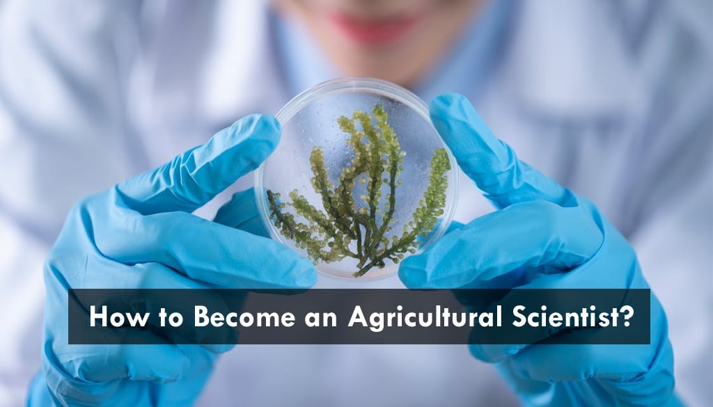 agricultural scientist